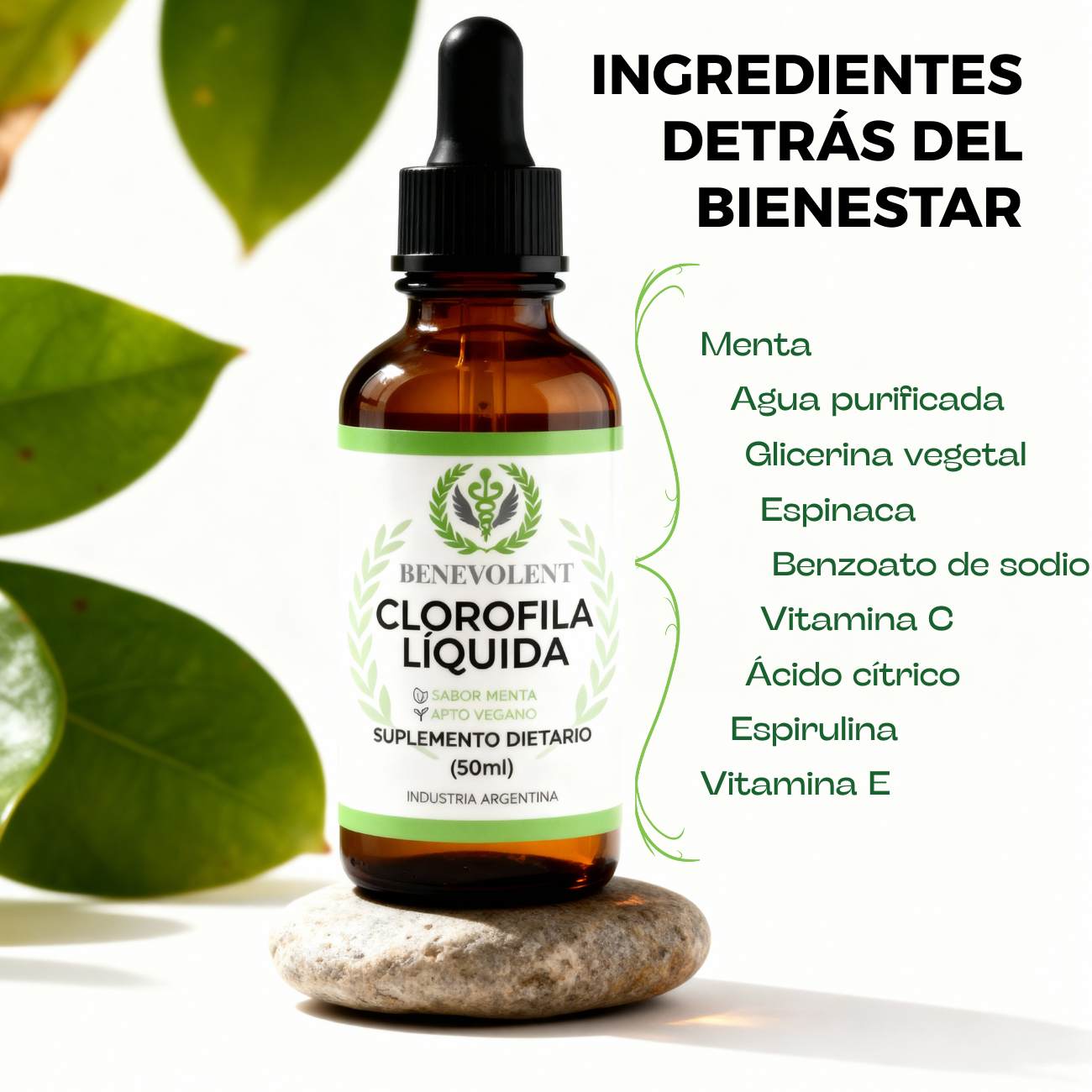 Clorofila Benevolent | Olvidate de la hinchazón en días
