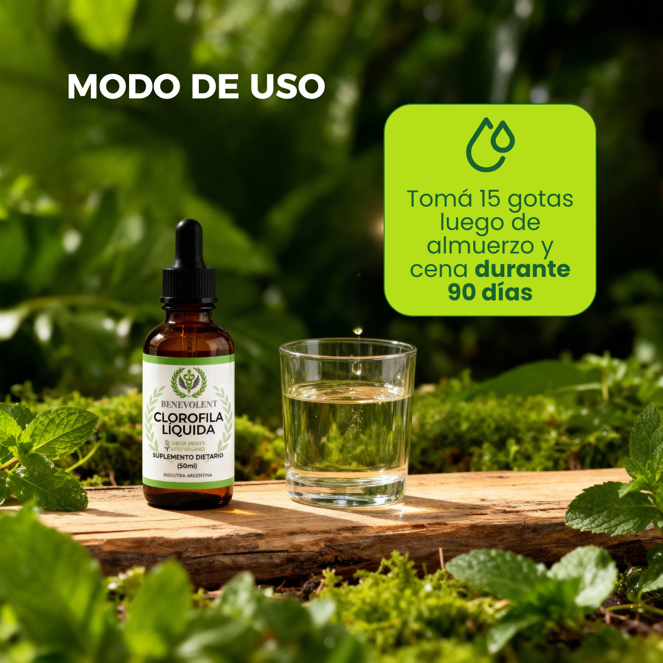 Clorofila Benevolent | Olvidate de la hinchazón en días