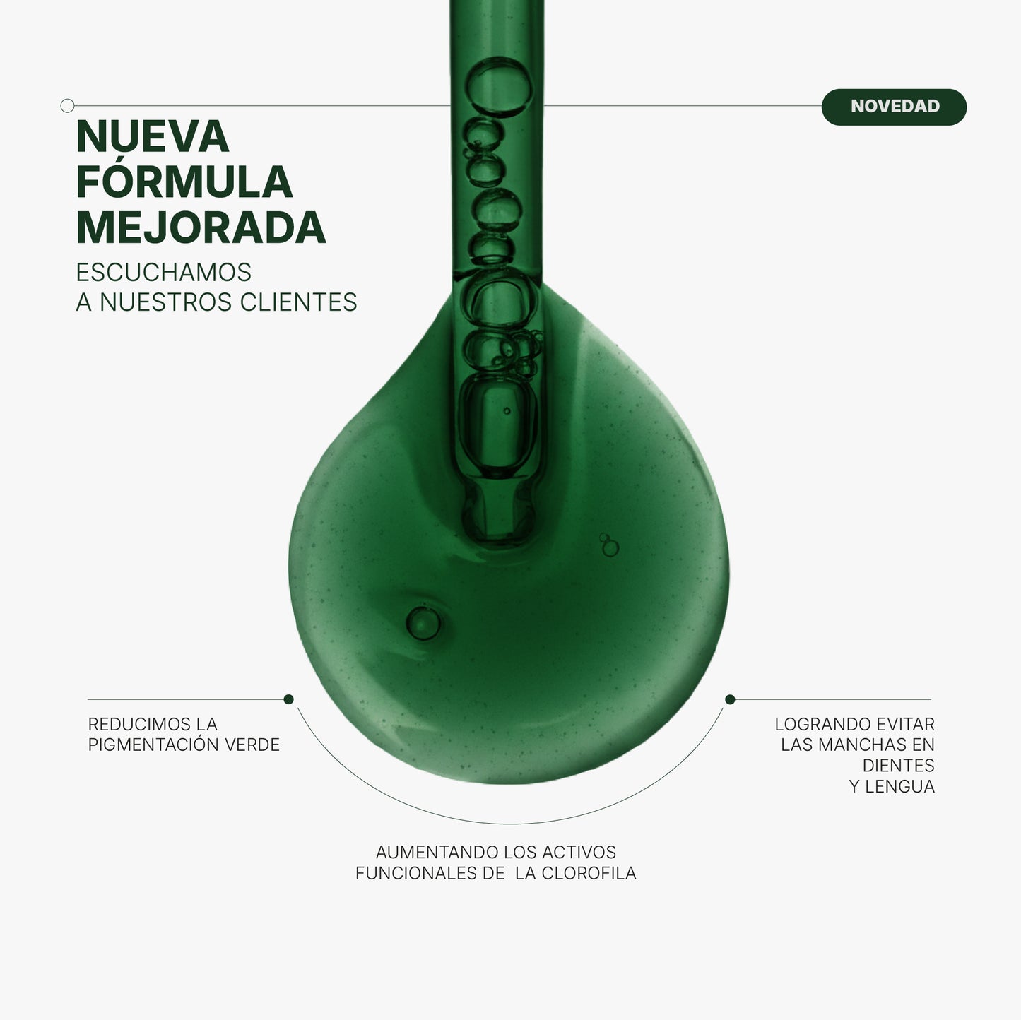 Clorofila Benevolent | Olvidate de la hinchazón en días