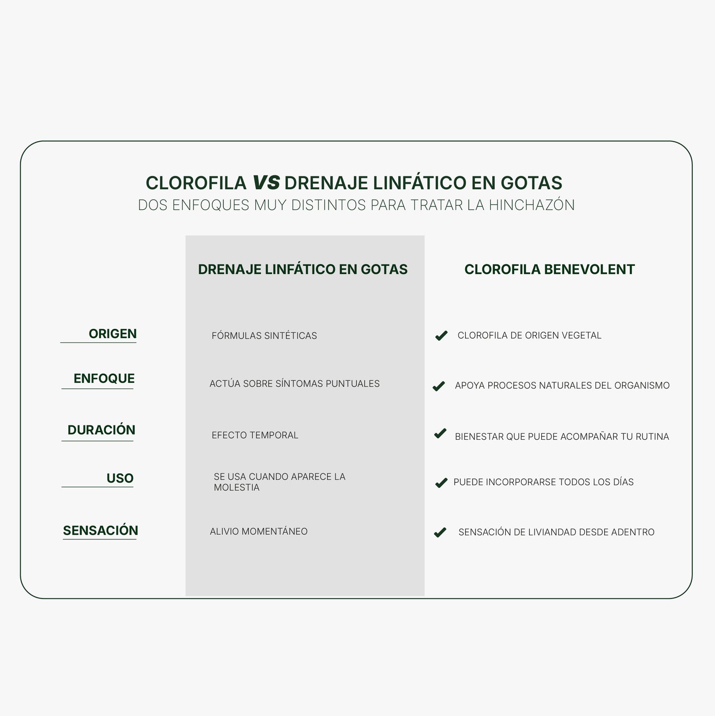 Clorofila Benevolent | Olvidate de la hinchazón en días